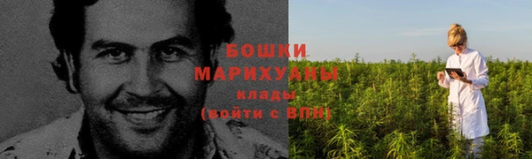 прущие крисы Магадан