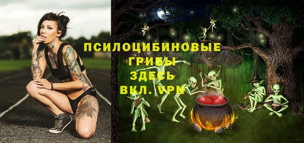 экстази Медногорск