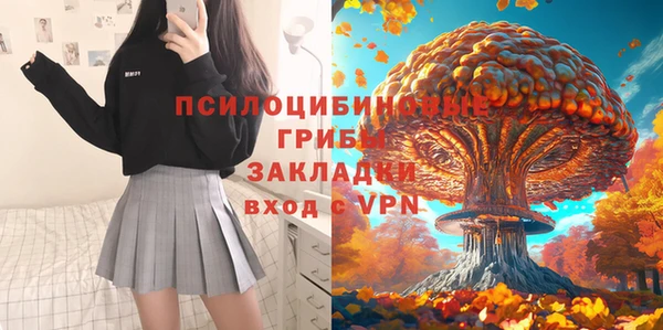 сатива Магас