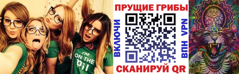 Псилоцибиновые грибы мицелий  как найти наркотики  Шилка 